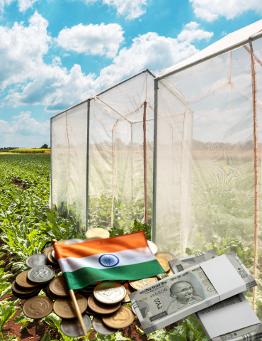 Untitled design (15)